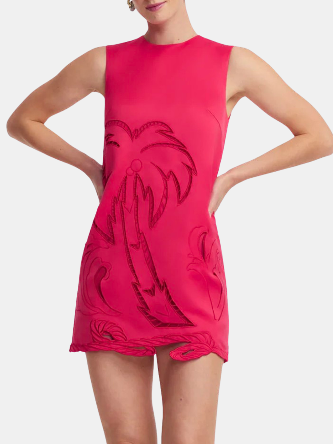 Yvonne Applique Mini Dress