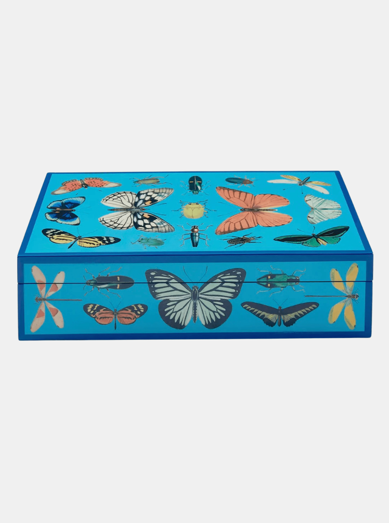 Lacquer Botanist Box - Periwinkle