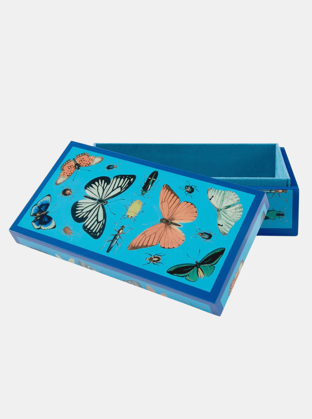 Lacquer Botanist Box - Periwinkle