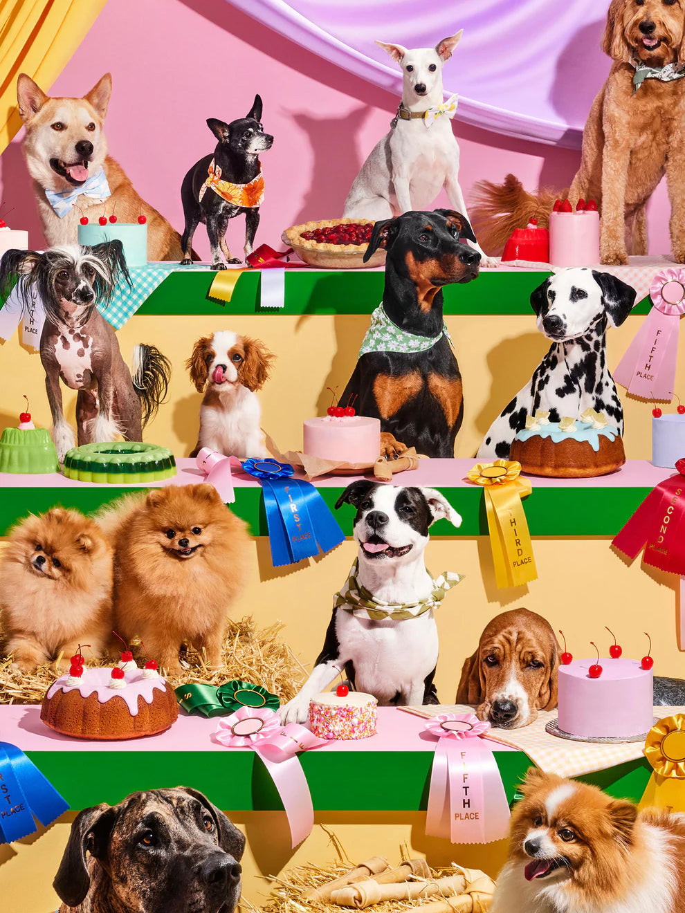 Top Dog - Periwinkle