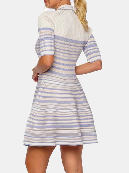 Dessie Mini Dress