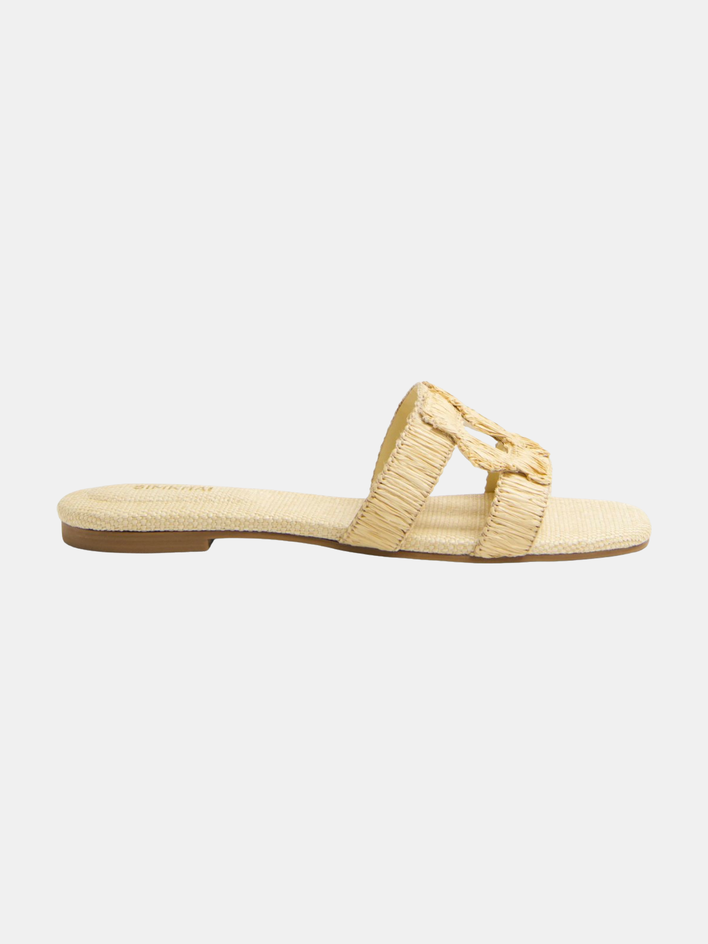 Monogram Raffia Flat Slide - Periwinkle 