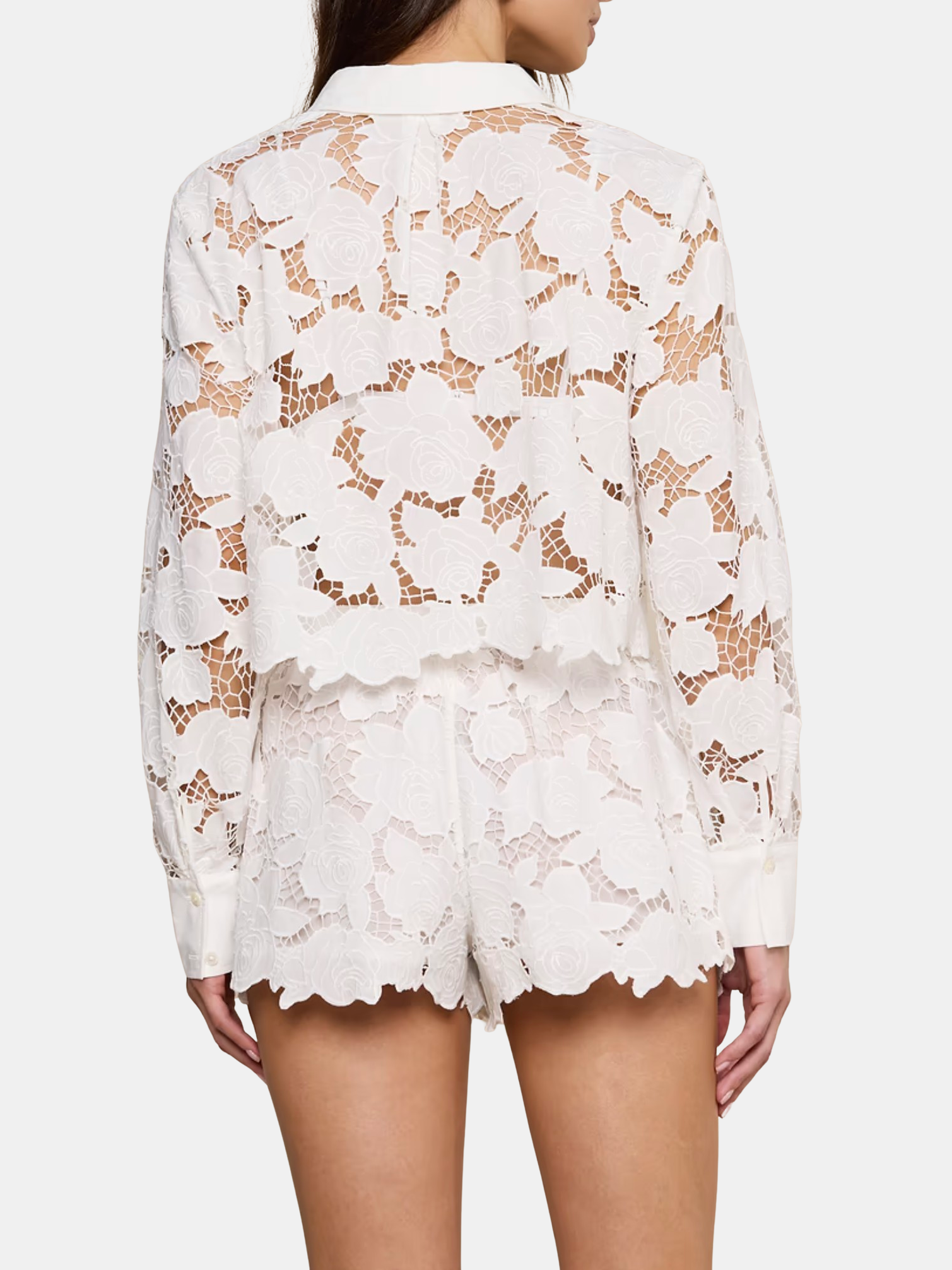 Seychelle Cropped Lace Blouse