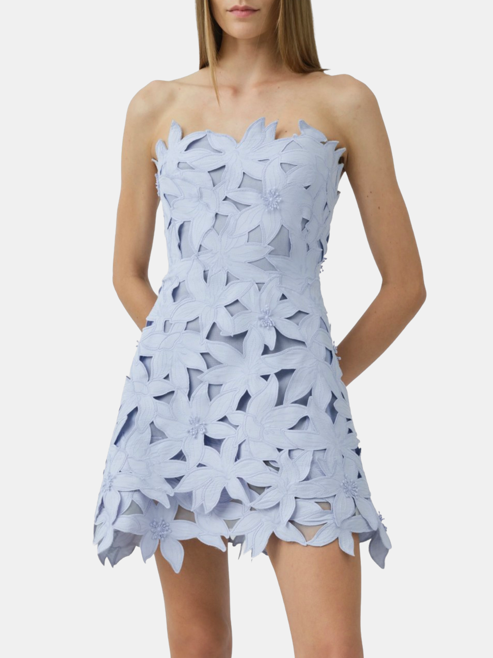 Miri Busitier Mini Dress