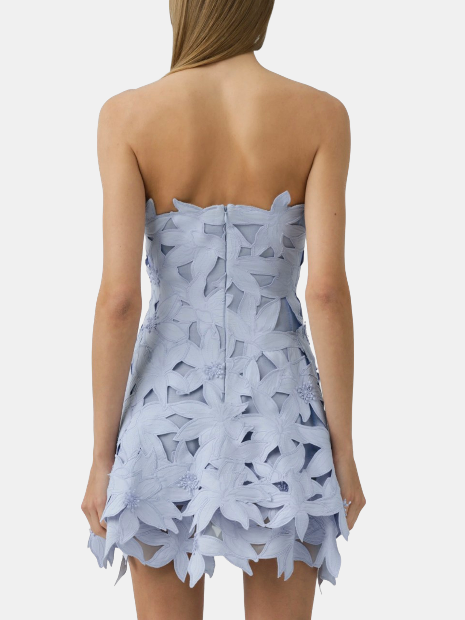 Miri Busitier Mini Dress