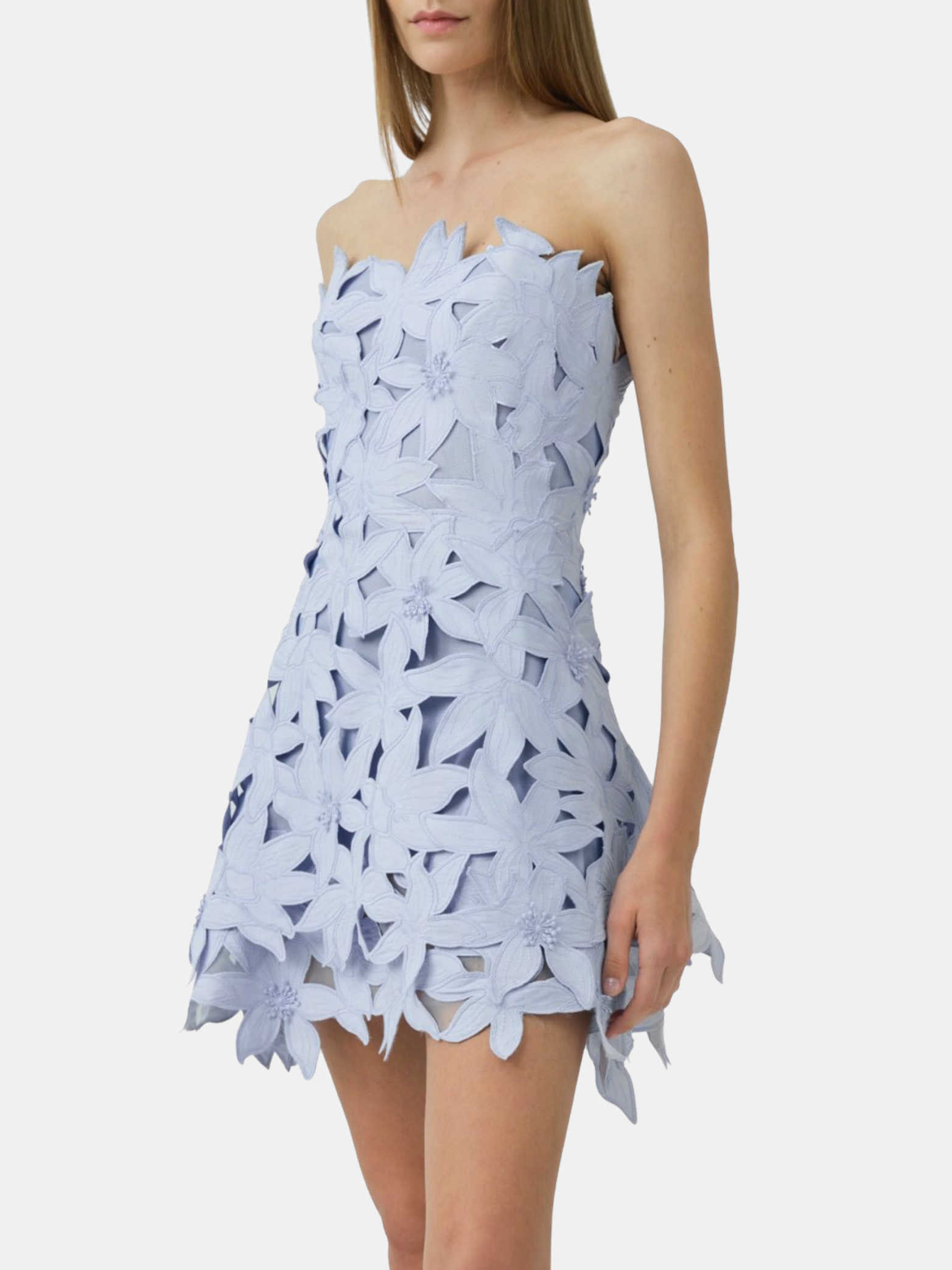 Miri Busitier Mini Dress