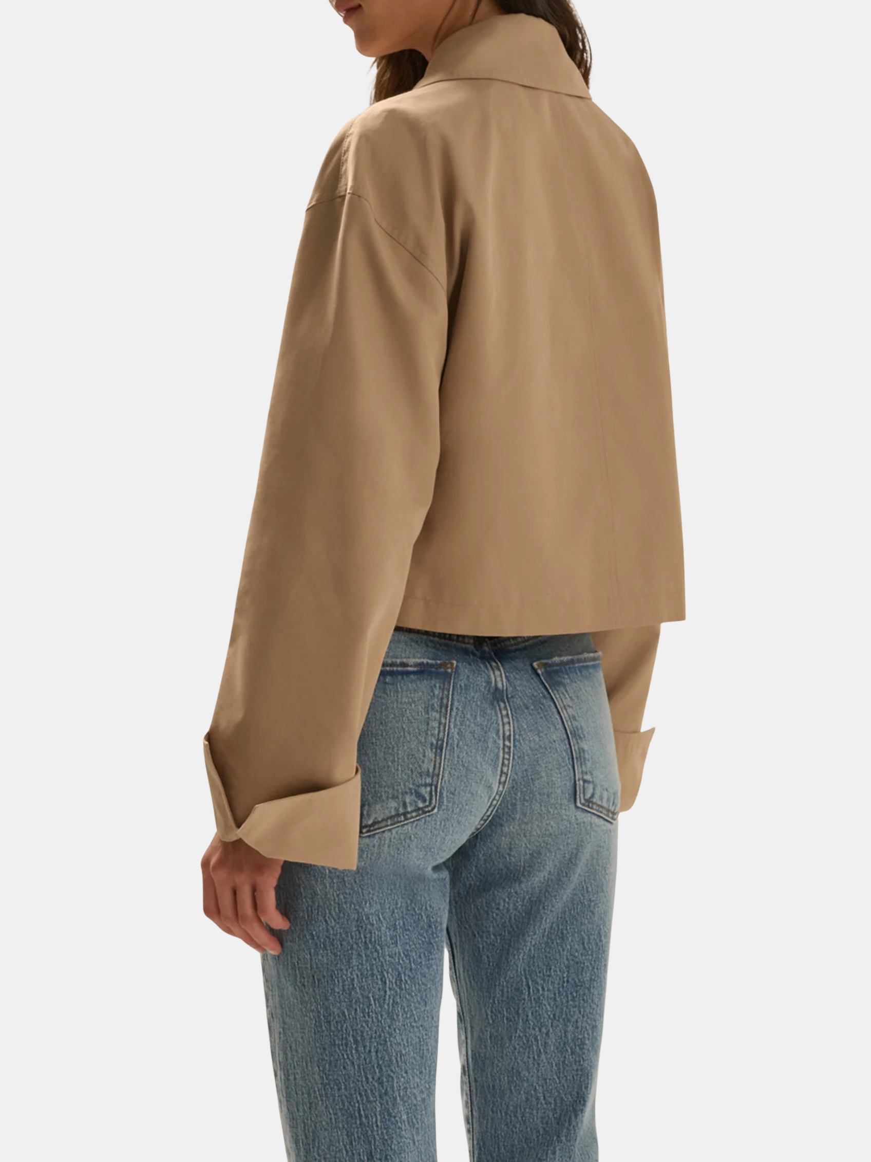 The Rue Cropped Trench