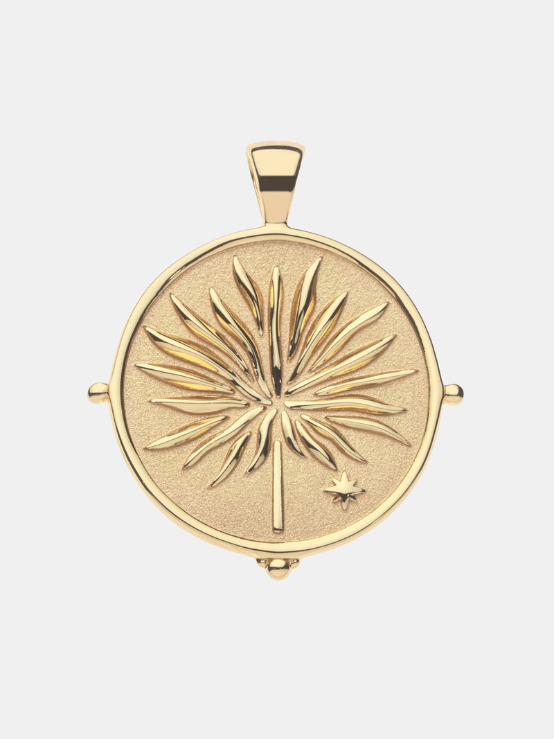 Delray JW Original Pendant Coin